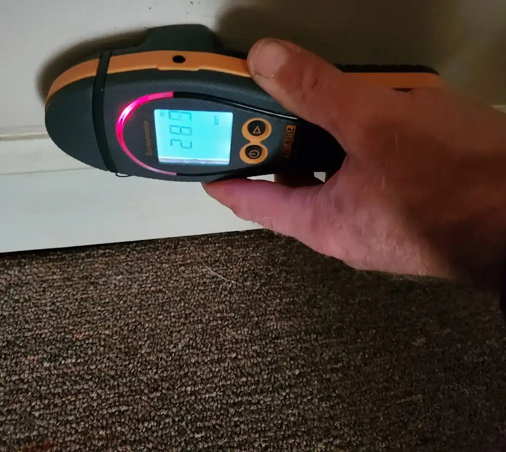 Moisture detection at baseboard during Sewage Cleanup & Sanitation in Lake Mathews